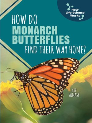 cover image of How Do Monarch Butterflies Find Their Way Home?